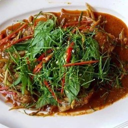 ฉู่ฉี่ปลาคัง