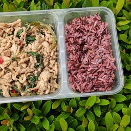 ข้าวกะเพราไก่