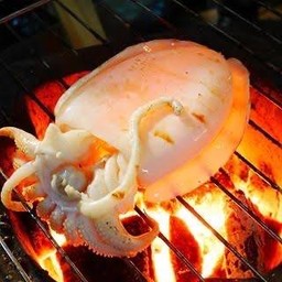 หมึกกระดองย่าง