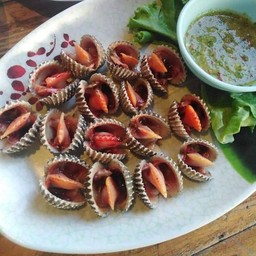 หอยแครงลวก