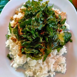 กะเพราไข่เยี่ยวม้าราดข้าว