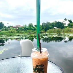 ชาเย็นกลางบึงบัวคะ