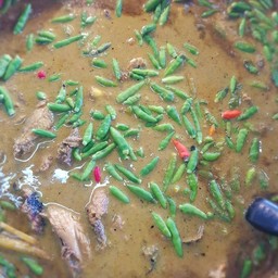 ไตปลากะทิ