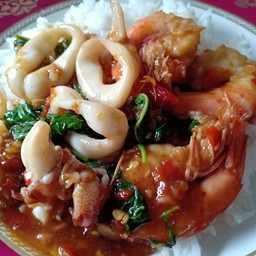 กระเพราทะเล