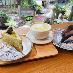 Bonsai Coffee House