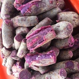 มันม่วง