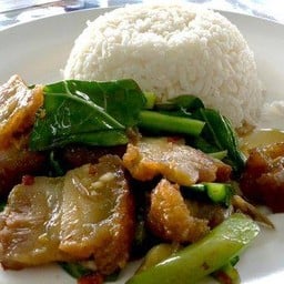 ข้าวราดผักคะน้า