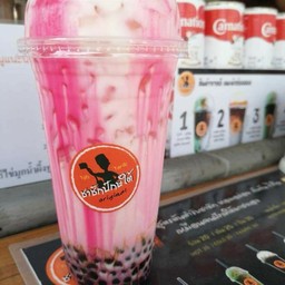 ชาชักปักษ์ใต้ ราชภัฏ ประตู2