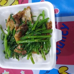ผัดพักบุ้งหมูกรอบราดข้าว