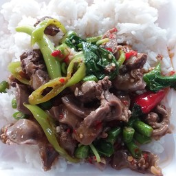 กะเพราเครื่องในไก่ราดข้าว