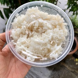 ข้าวหอมมะลิ