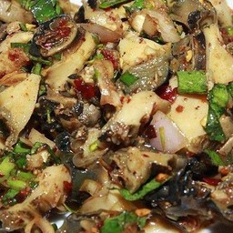 กัอยหอยนา