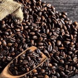 ก๋วยเตี๋ยวเรือชากังราว