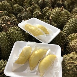 PB ทุเรียนหมอนทองชั่งเนื้อ