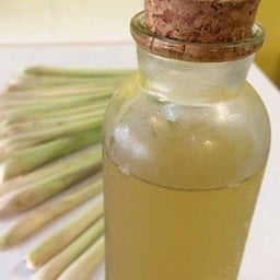 ตะไคร้ใบเตย LG