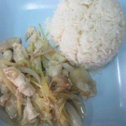 ข้าวราดไก่ผัดขิง saute ginger with chicken