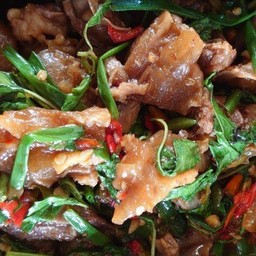 เอ็นหมูผัดพริกกะเพรา