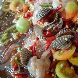 เกาเหลากุ้งสดหอยแครงน้ำปลาร้า