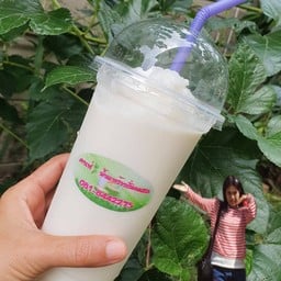 คาเฟ่  น้ำมะพร้าวปั่นนมสด