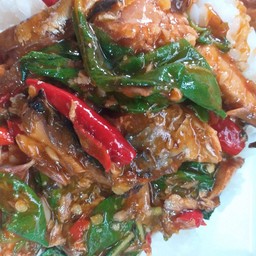 กะเพราปลากระป๋องราดข้าว