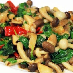 ผัดกระเพราเห็ดราดข้าว