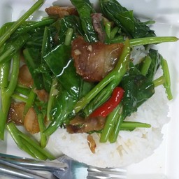 คะน้าหมูกรอบราดข้าว