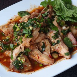 น้ำตกคอหมูย่าง