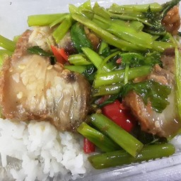 ผักบุ้งหมูกรอบราดข้าว