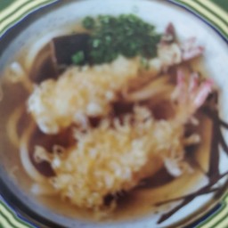 เทมปุระอุด้ง