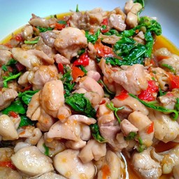 ข้าวราดกระเพราไก่