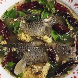 ปลาหมอต้มยำน้ำใส ( 1 ตัว)