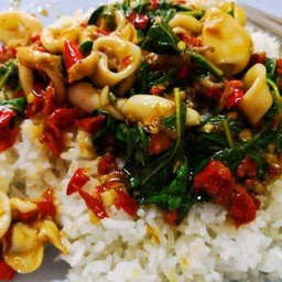 ข้าวกระเพราหมึก