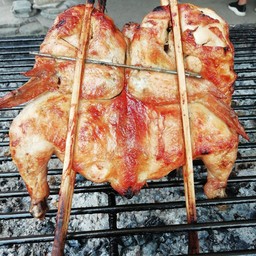 ไก่ย่าง  1  ตัว