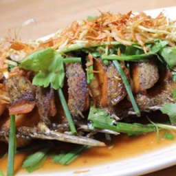 ปลากะพงทอดเจี๋ยนซอสน้ำมะขาม