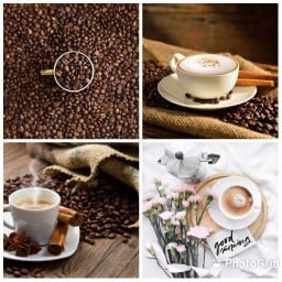 Classic café เชียงใหม่ ไกล้มหาลัยพายัพ โซนหนองป่าครั่ง