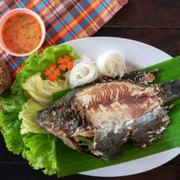 ุชุดปลาเผาไซส์M