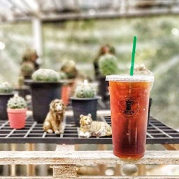Jack's Coffee