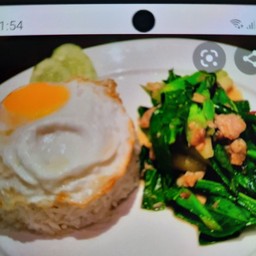 คะน้าปลาเค็มราดข้าว