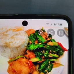 คะน้าไก่ชิ้นราดข้าว