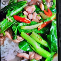 คะน้าไก่สับ ราดข้าว