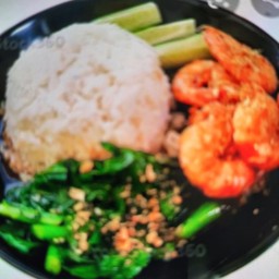คะน้ากุ้งราดข้าว
