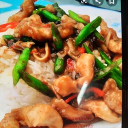 ผัดเผ็ดไก่ราดข้าว