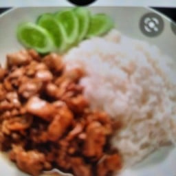 ไก่กระเทียม พริกไทย ราดข้าว