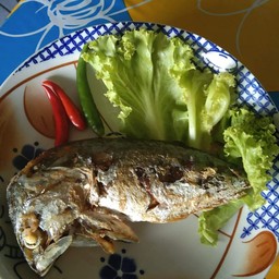 ปลาทูนึ่งทอด