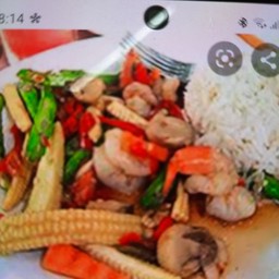 ผัดผักรวมมิตรกุ้งราดข้าว