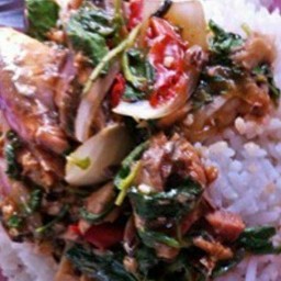 กะเพราปลากะป๋อง