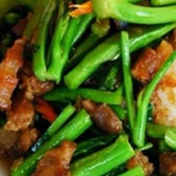 คะน้าปลากระป๋อง