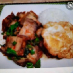 กระเพราหมูกรอบราดข้าว