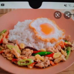 ผัดพริกหยวกไก่ราดข้าว