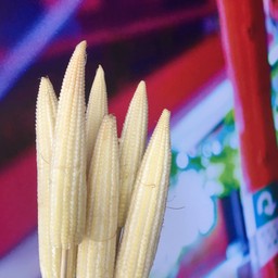 ข้าวโพดอ่อนเล็ก